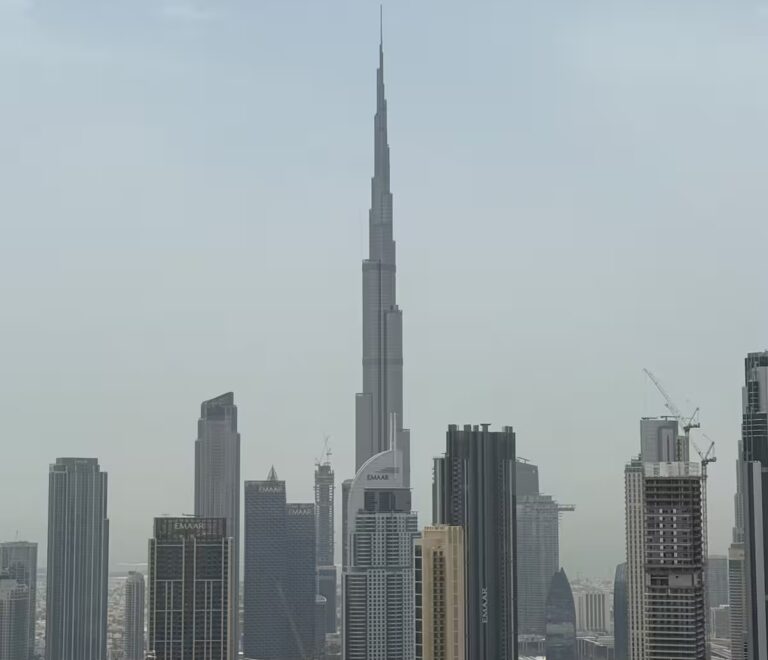 56c1e41d-7d4e-4cf6-802c-3143de8e9309