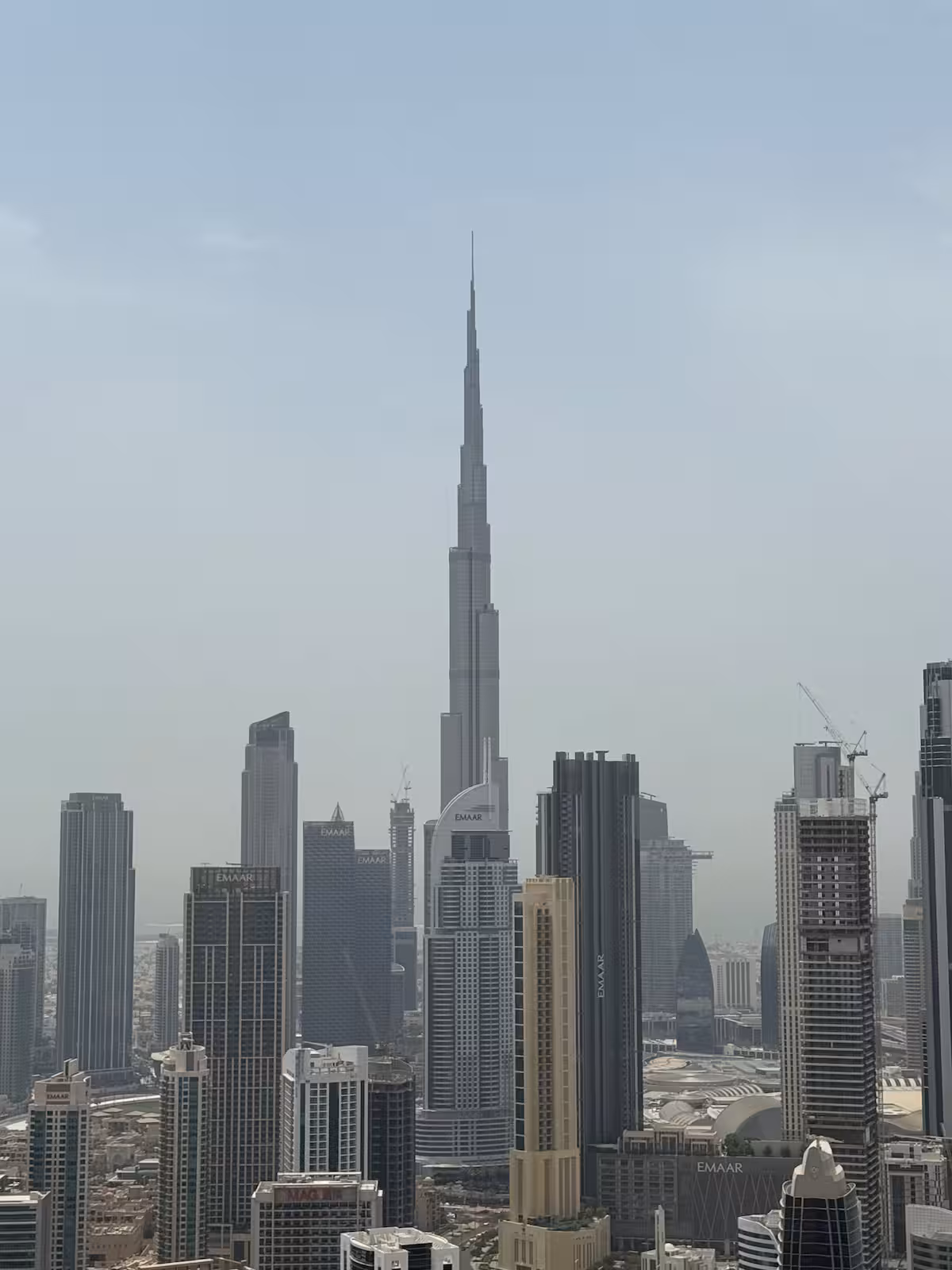 56c1e41d-7d4e-4cf6-802c-3143de8e9309